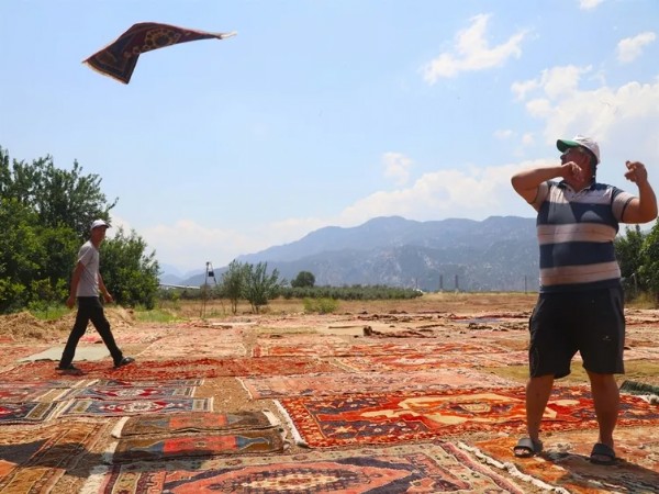 Tarlalara Serip Günlerce Bekletiyorlar! Yurt Dışında 5 Bin Dolara Satılıyor